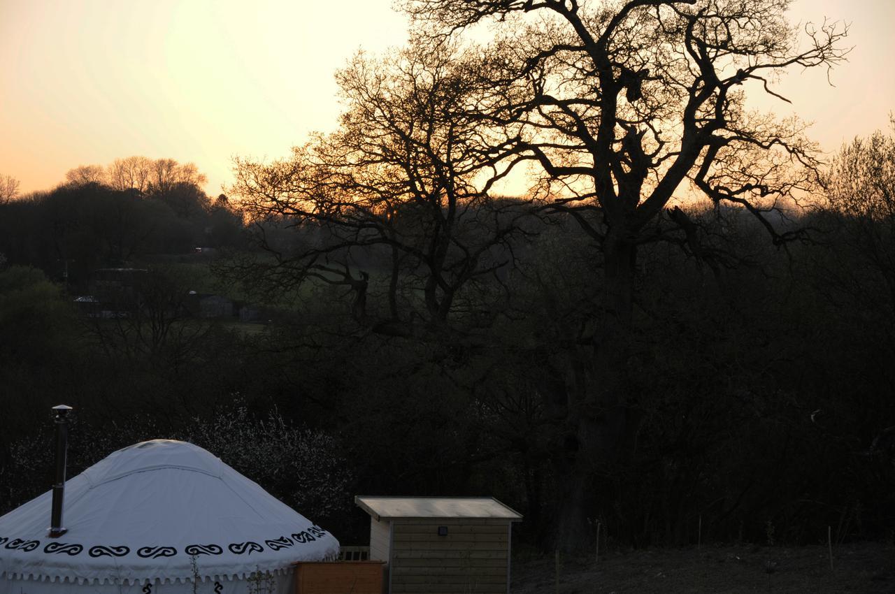 Glamping On The Hill Hotel Mells Bagian luar foto